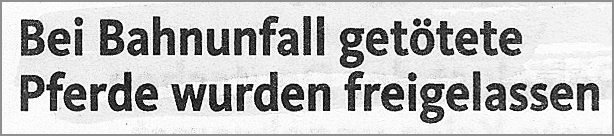 Bei Bahnunfall getötete Pferde wurden freigelassen