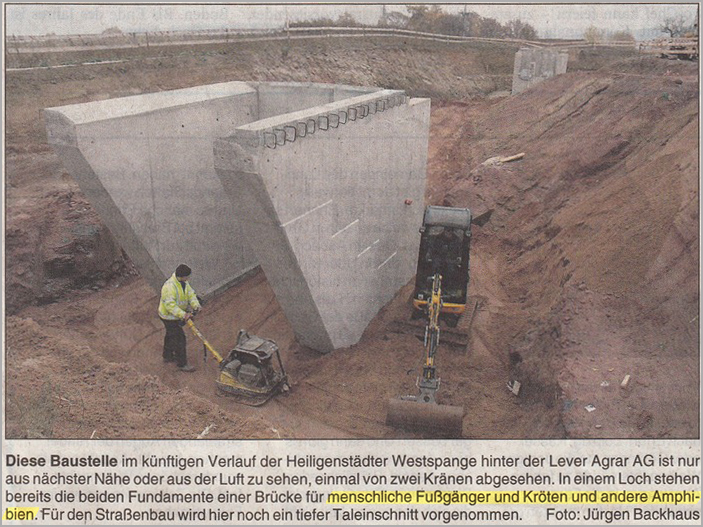 menschliche Fußgänger, Kröten und andere Amphibien