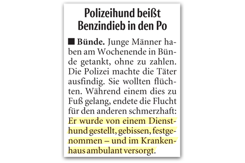 Von Diensthund gestellt, gebissen und versorgt